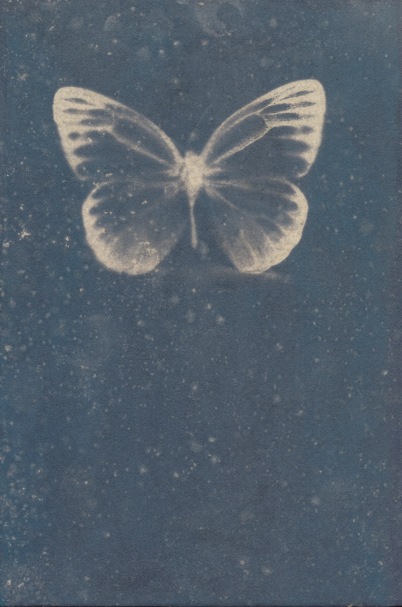 Genice Valentino Wickum, cyanotype, 2012
